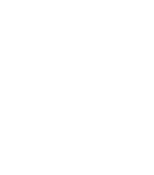 Pneu Store