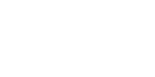 Sebrae